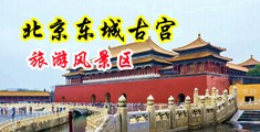 欧美激情z肉欲强奸视频免费看中国北京-东城古宫旅游风景区